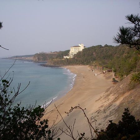 הוילה סאוגוויפו Sunny Day Jeju מראה חיצוני תמונה