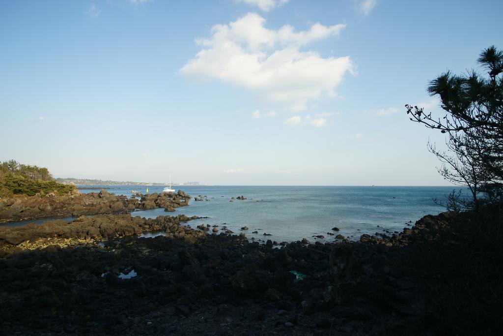 הוילה סאוגוויפו Sunny Day Jeju מראה חיצוני תמונה