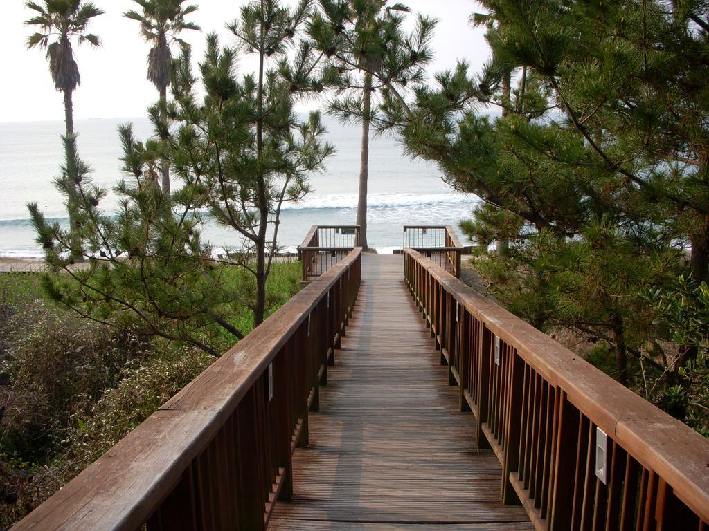 הוילה סאוגוויפו Sunny Day Jeju מראה חיצוני תמונה