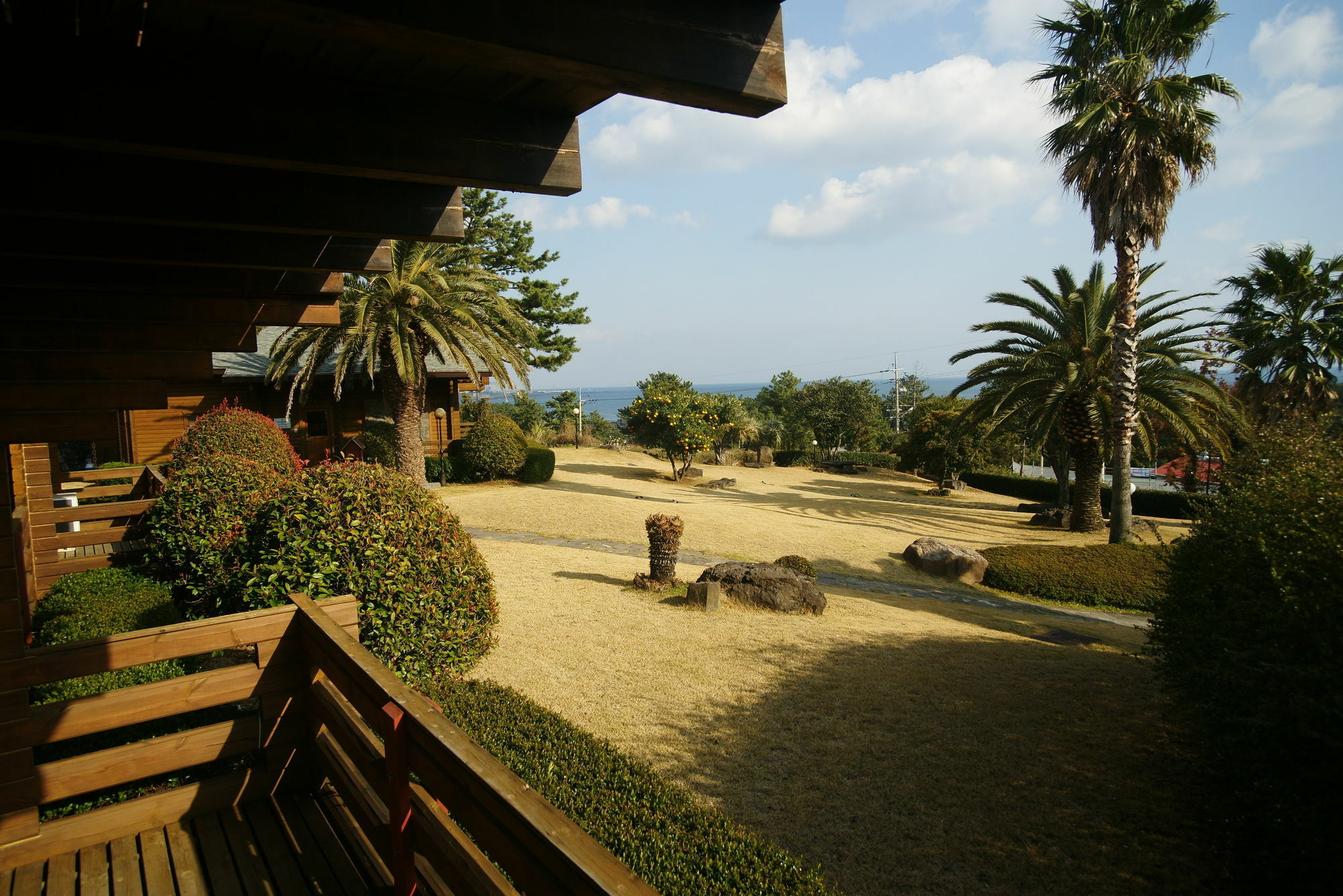 הוילה סאוגוויפו Sunny Day Jeju מראה חיצוני תמונה
