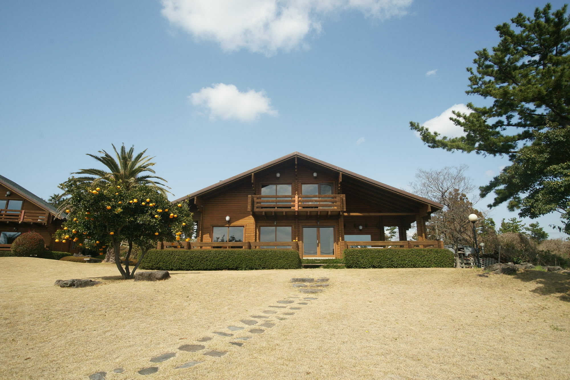 הוילה סאוגוויפו Sunny Day Jeju מראה חיצוני תמונה