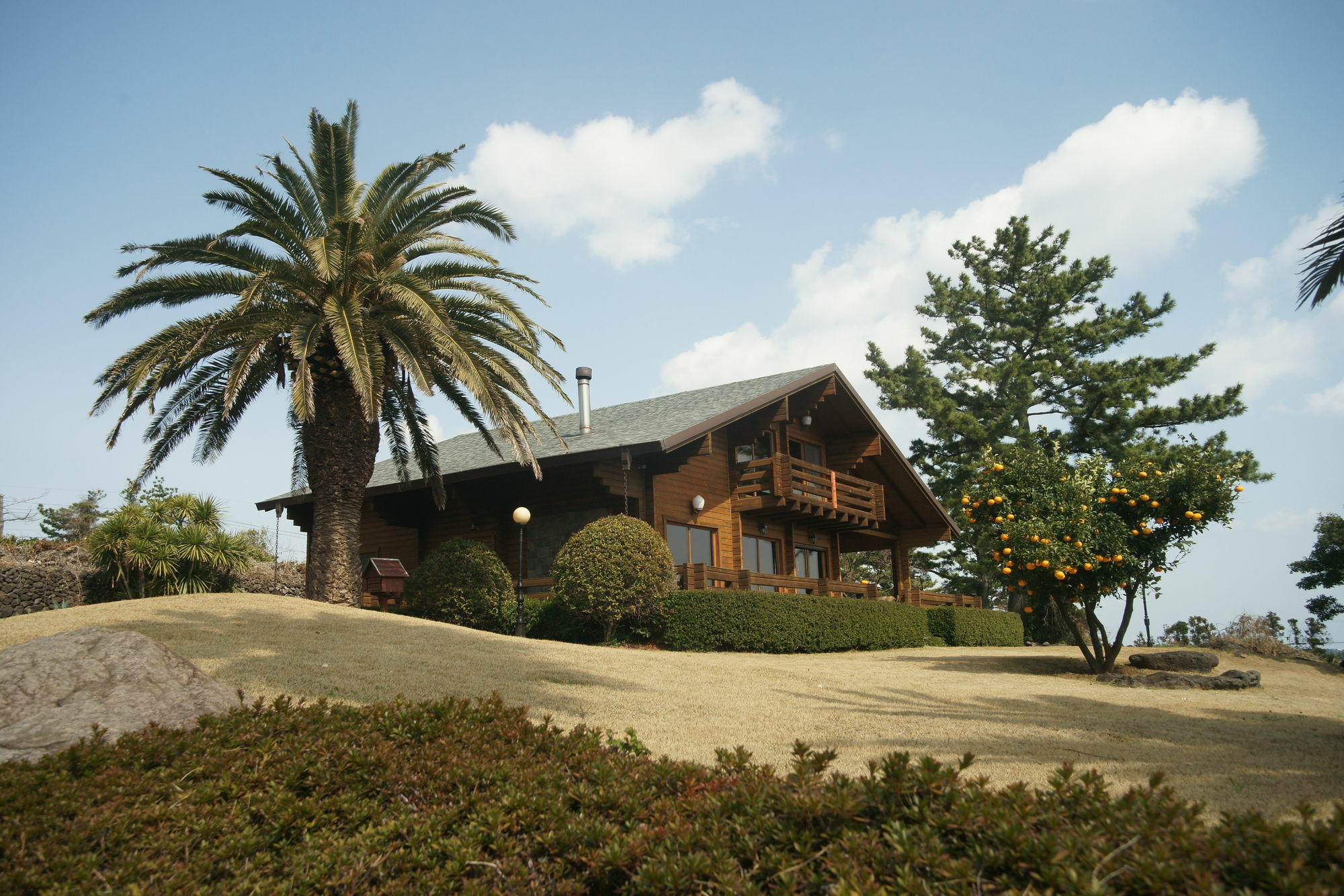 הוילה סאוגוויפו Sunny Day Jeju מראה חיצוני תמונה