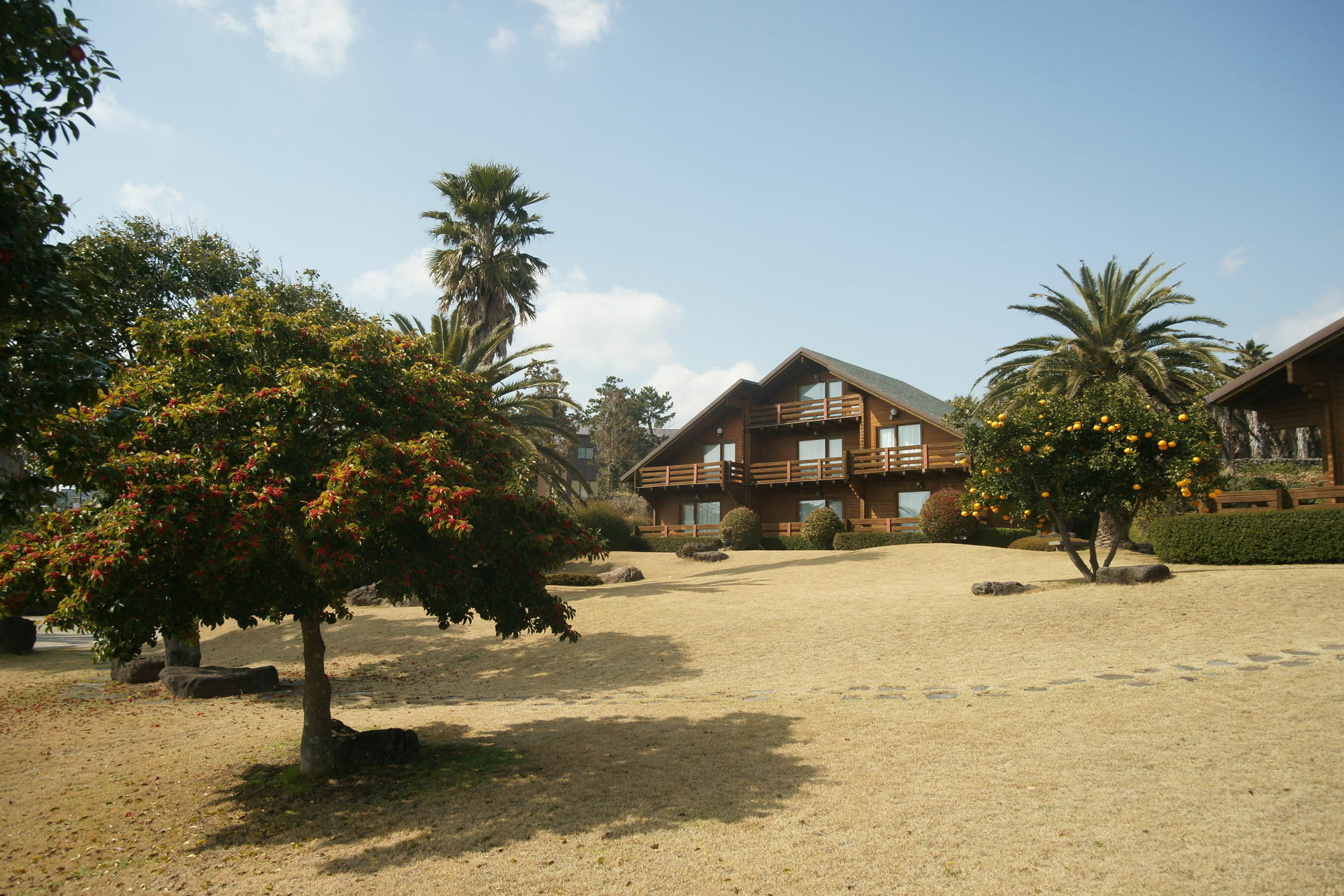 הוילה סאוגוויפו Sunny Day Jeju מראה חיצוני תמונה