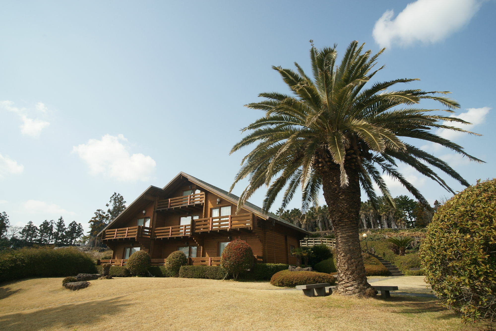 הוילה סאוגוויפו Sunny Day Jeju מראה חיצוני תמונה
