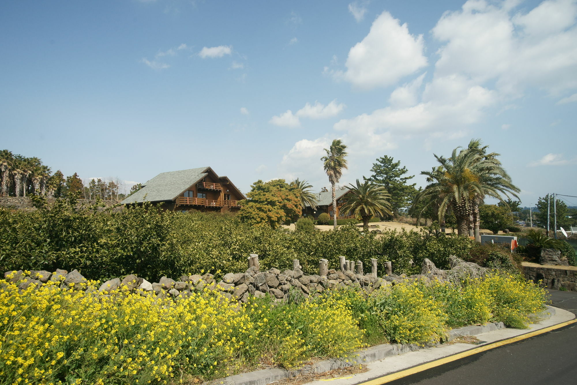 הוילה סאוגוויפו Sunny Day Jeju מראה חיצוני תמונה