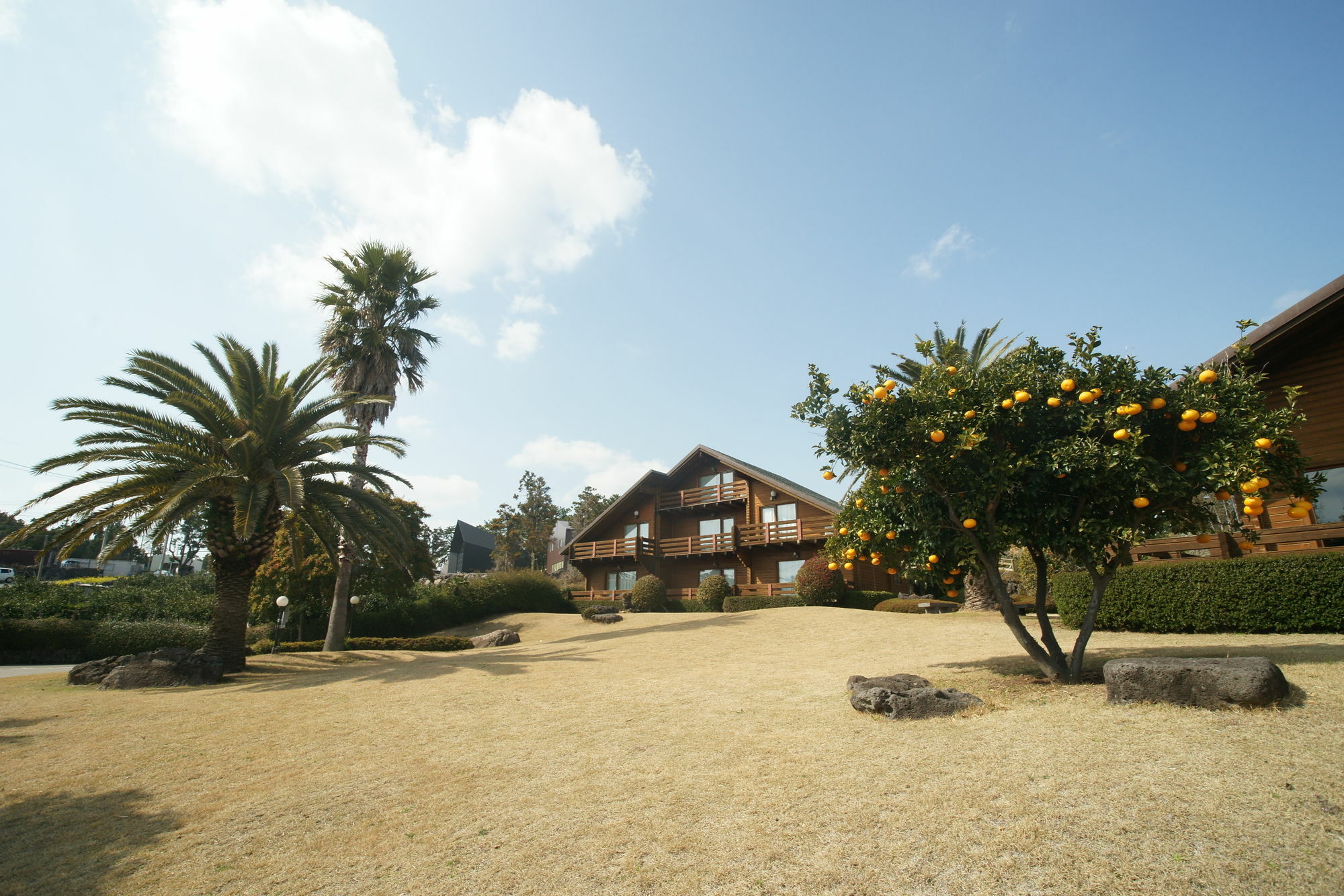 הוילה סאוגוויפו Sunny Day Jeju מראה חיצוני תמונה